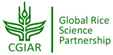 CGIAR Logo